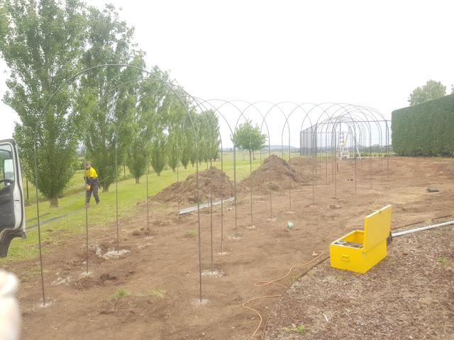 Rose Arbour